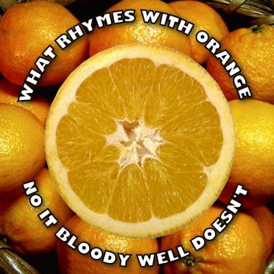 What Rhymes With Orange No It Does Not GIF