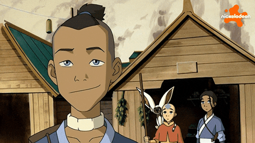 What Sokka GIF