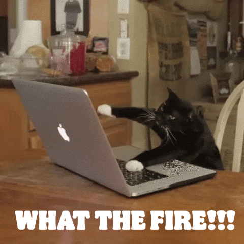 What The Fire What The Fluff GIF