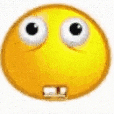 What The Flip GIF