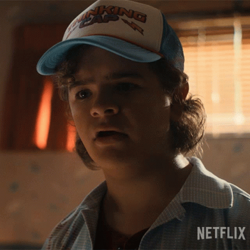 What The Heck Dustin Henderson GIF
