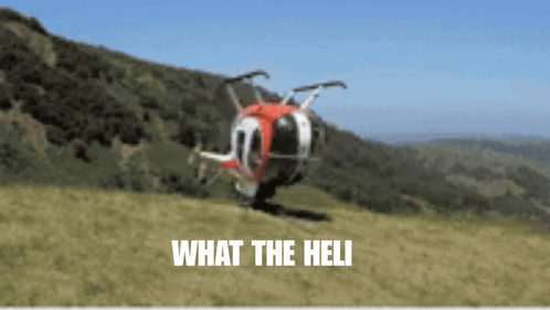 What The Heli What The Hell GIF