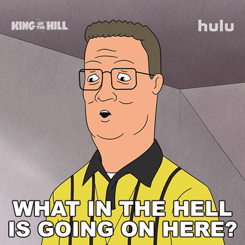 What The Hell Is Going On Here Hank Hill GIF