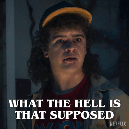 What The Hell Is That Supposed To Mean Dustin Henderson GIF