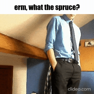 What The Spruce Fishtank GIF