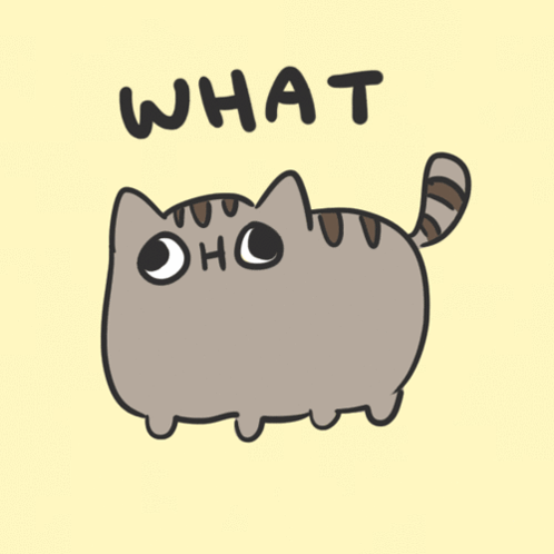 What What Cat GIF