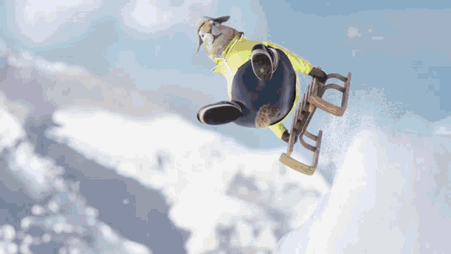 What Wtf GIF