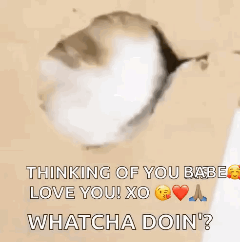 Whatcha Doing GIF. This 492 x 498 animated GIF is part of our ich denk an dich collection. Created by Rg6238102789. View the original animation, share it…