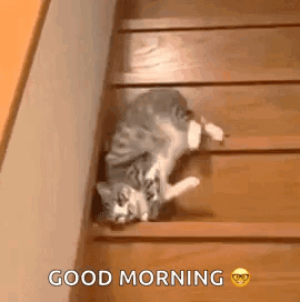 Whatever Bye GIF