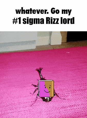 Whatever Go My Scarab Ewow GIF