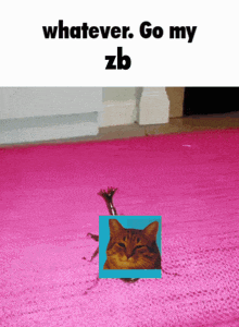 Whatever Go GIF