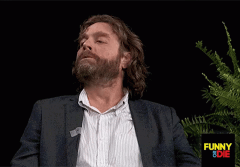 Whatever You Say Zach Galifianakis GIF