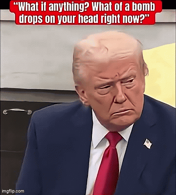 Whatifanything What If Anything GIF