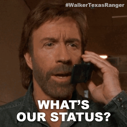 Whats Our Status Cordell Walker GIF