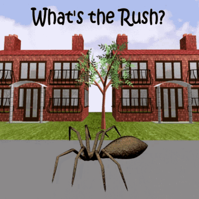 Whats The Rush Why Hurry GIF
