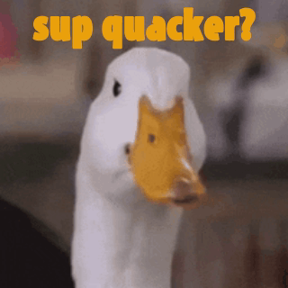 What'S Up Sup GIF