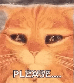 Whatsapp GIF