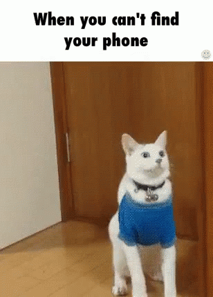 When You Can'T Find Your Phone GIF