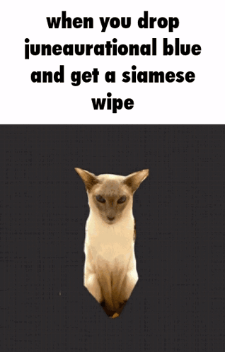 When You Drop Generational Brown Phantom Wipe GIF