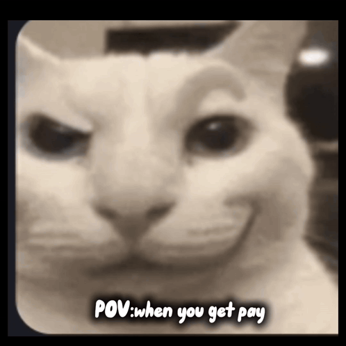 When You Get Pay GIF