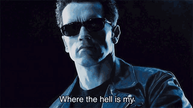 Where The Hell Is My Telephone Located Arnold Schwarzenegger GIF