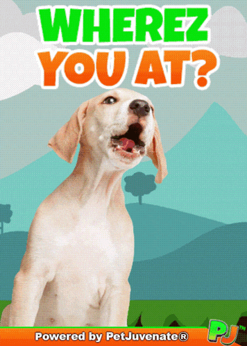 Where You At Where R You Whats Up Funny Love Gif Where R U Where You At Call Me Funny Gif GIF