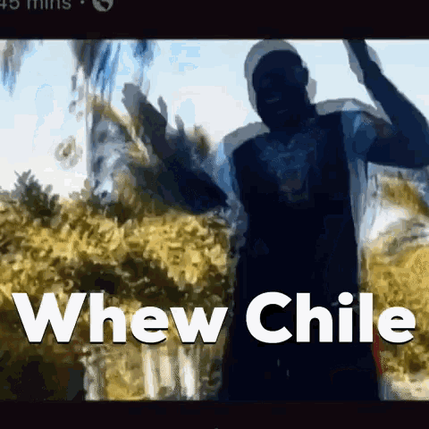 Whewchile Dredre GIF