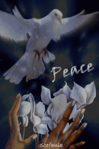White Bird GIF