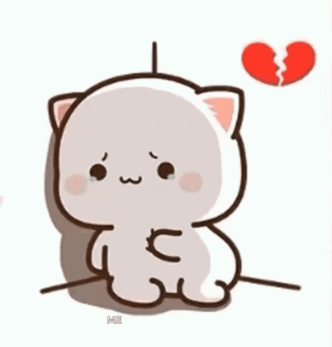White Cat Cats GIF