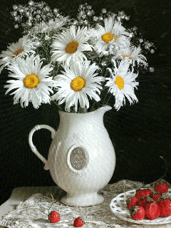 White Flowers Daisies GIF
