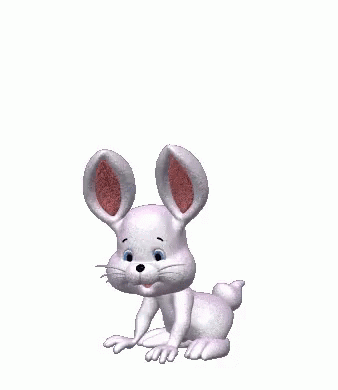 White Rabbit Jumping GIF