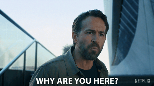 Why Are You Here Adam GIF