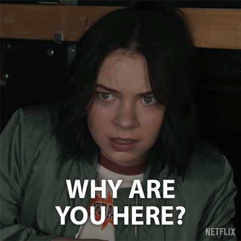 Why Are You Here Pippa Fitz-amobi GIF