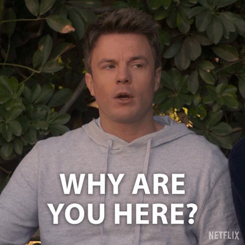 Why Are You Here Tyler Murphy GIF