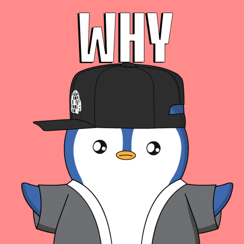 Why But Why GIF