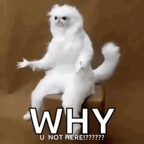 Why But Why GIF