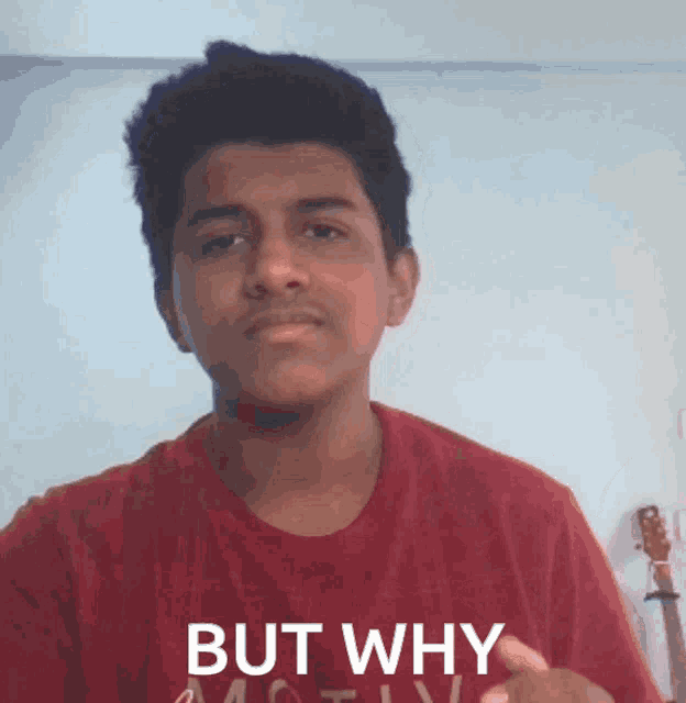 Why But Why GIF
