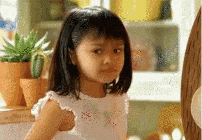 Why Dont We Have Both Both GIF