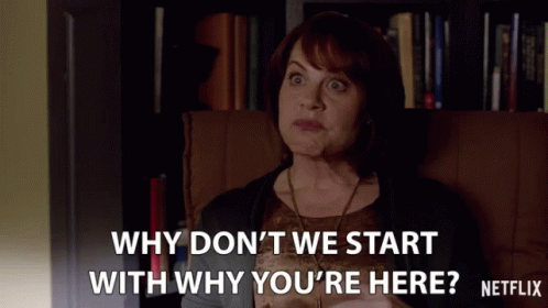 Why Dont We Start With Why Youre Here Why Are You Here GIF