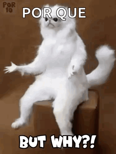 Why Persian Room Cat Guardian GIF. This 374 x 498 animated GIF is part of our but why collection. Related themes include why. Created by Bey8. View the…