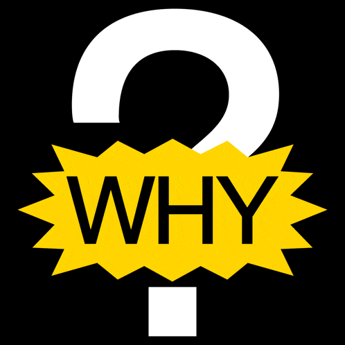 Why Question GIF