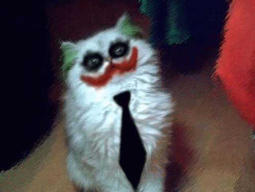 Why So Serious Cat GIF