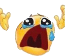 Why Why Emote Sticker
