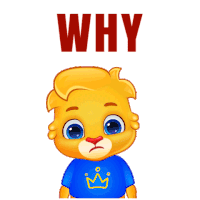 Why Why Not Sticker