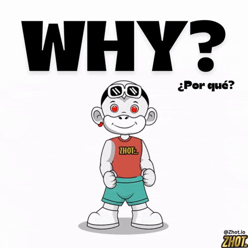 Why Why Not GIF
