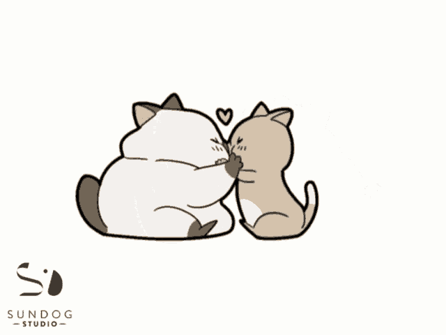 Wico Cat Wico GIF