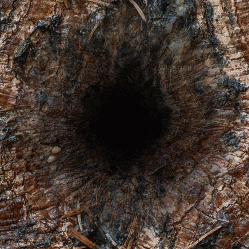 Widening Hole GIF