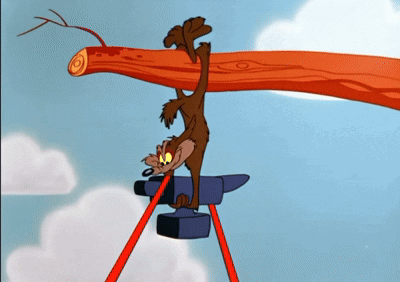 Wile E Coyote GIF