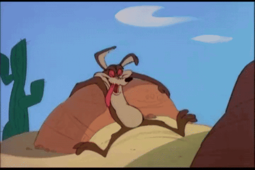 Wile E Coyote Looney Tunes GIF