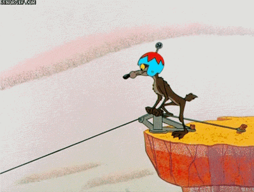 Wile E Coyote GIF